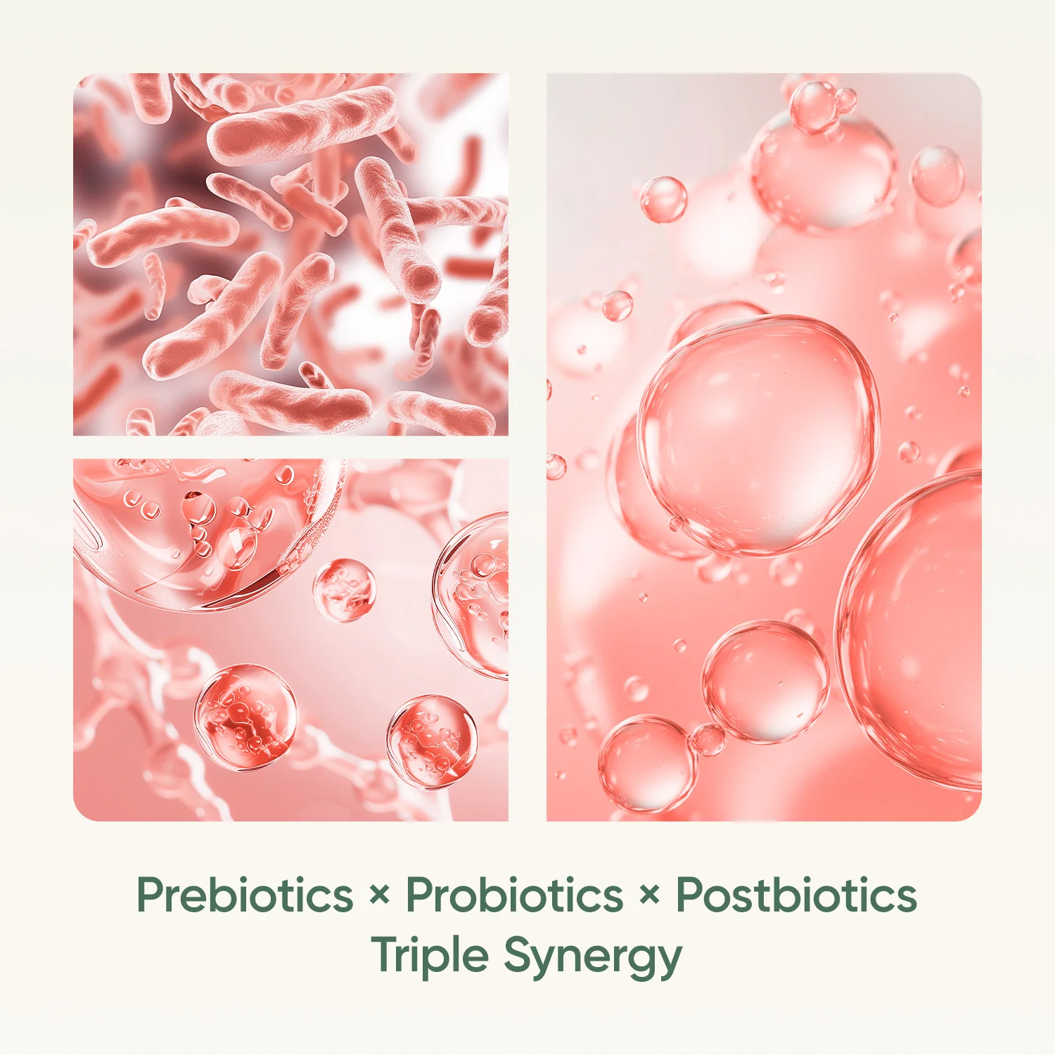 Akkermansia Trimbiotic - Image 3