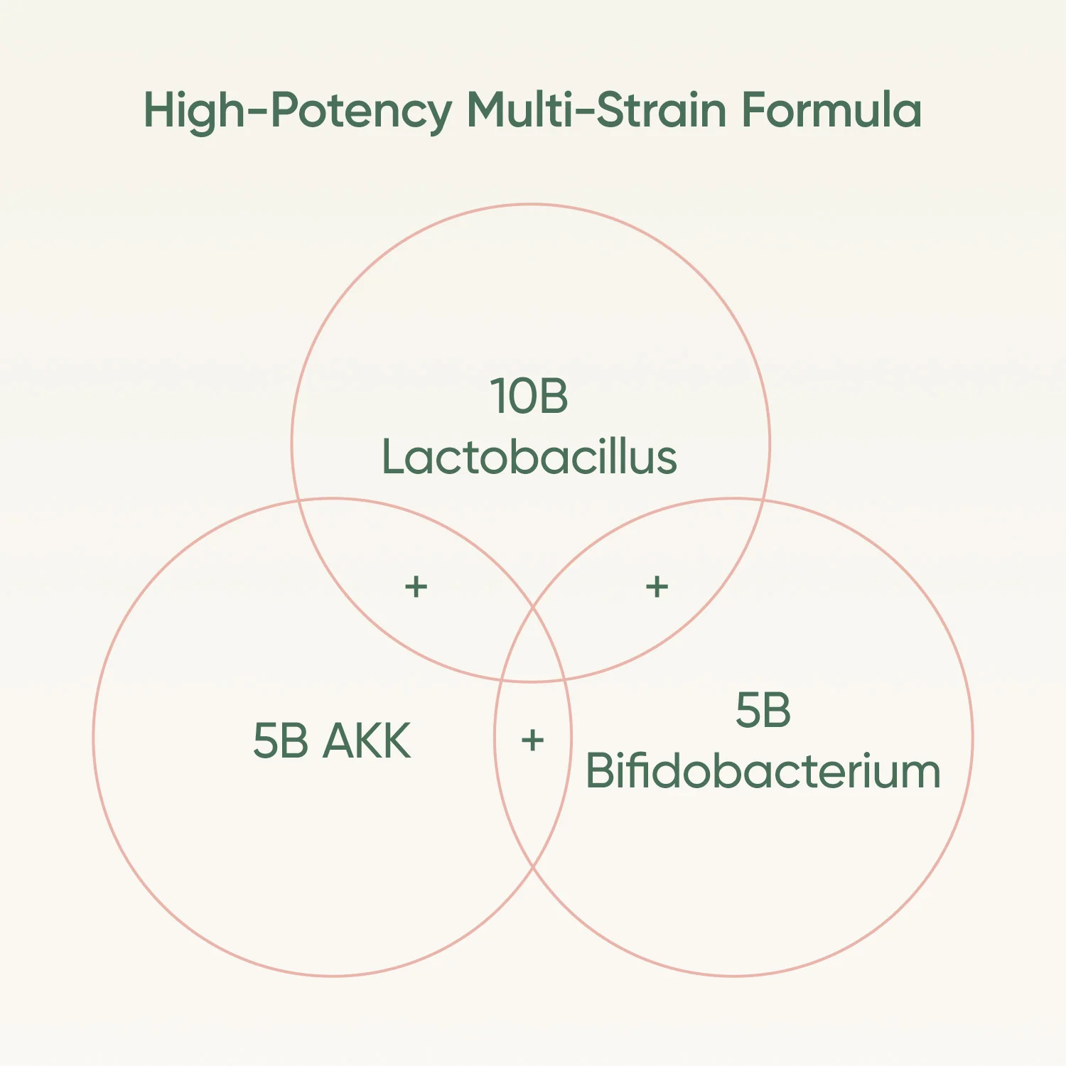 Akkermansia Trimbiotic - Image 5