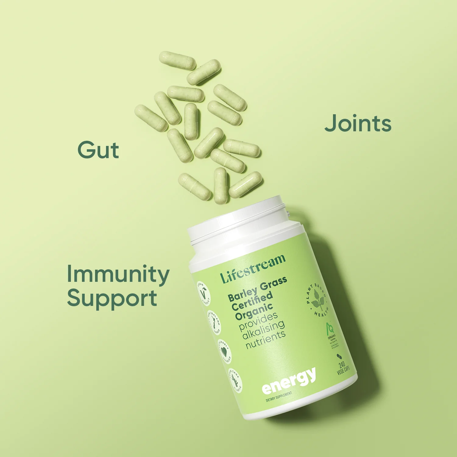 Barley Grass Certified Organic - Image 5