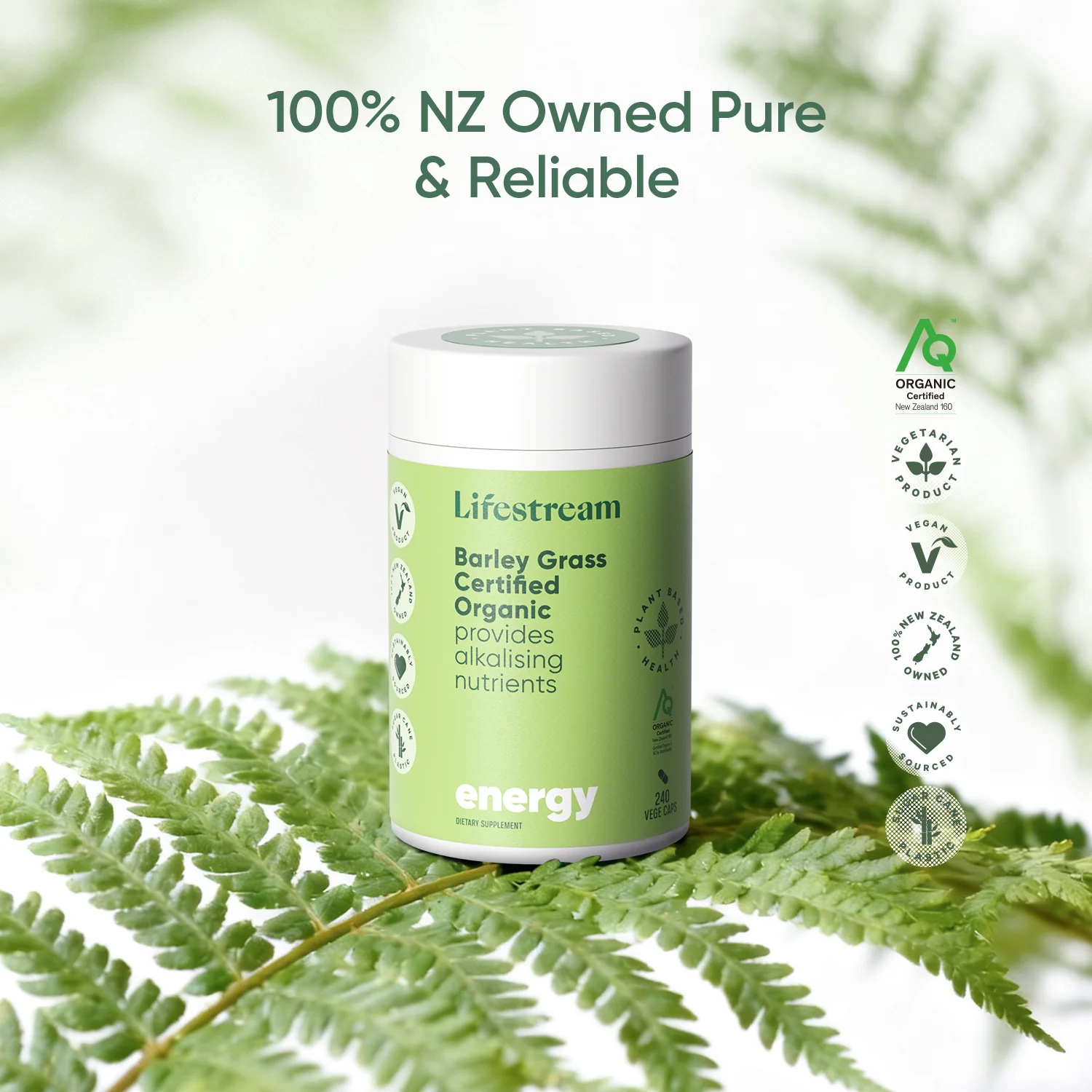 Barley Grass Certified Organic - Image 6