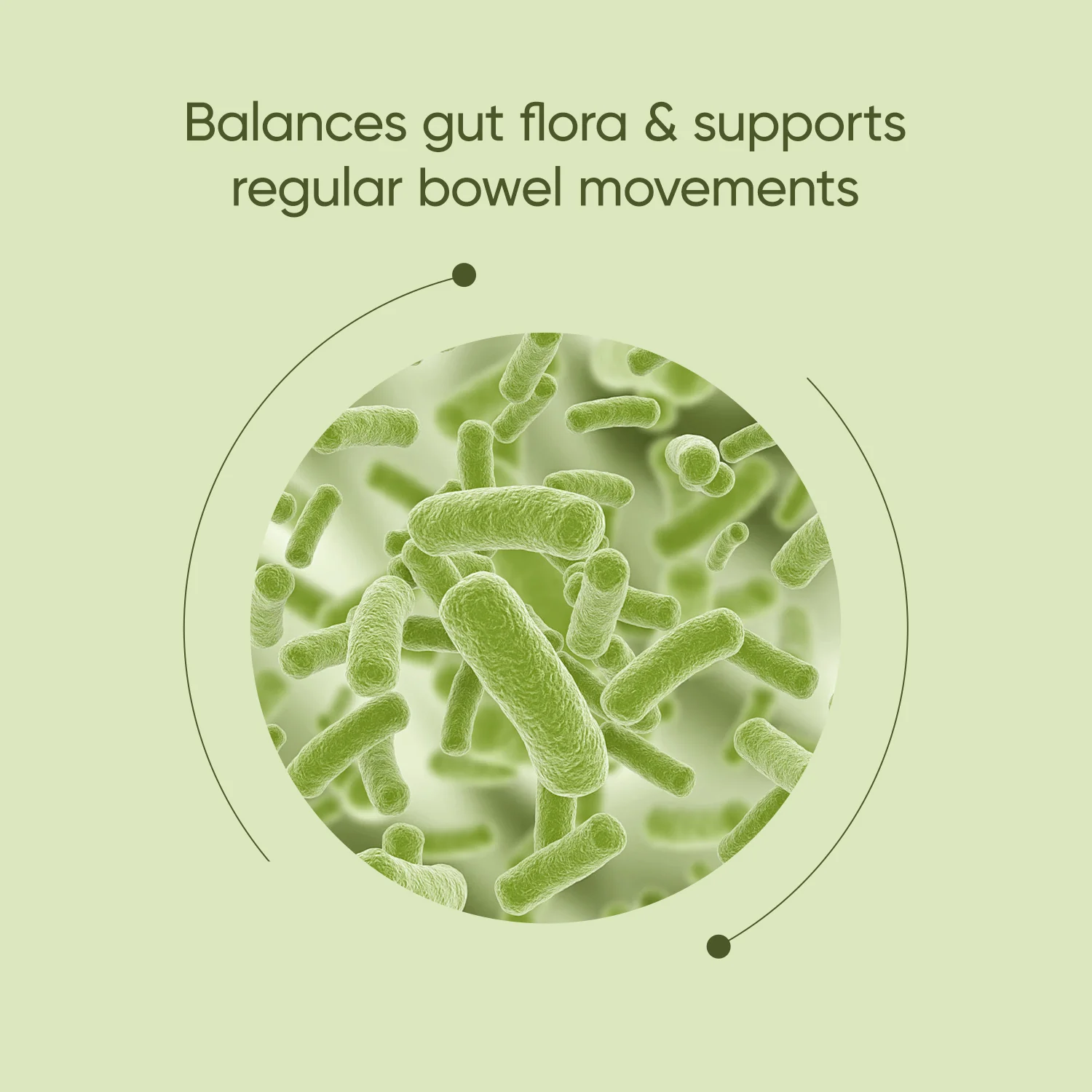 Fibre Biotics - Image 3