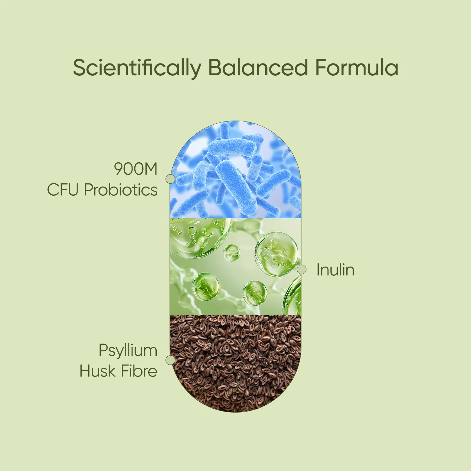 Fibre Biotics - Image 4