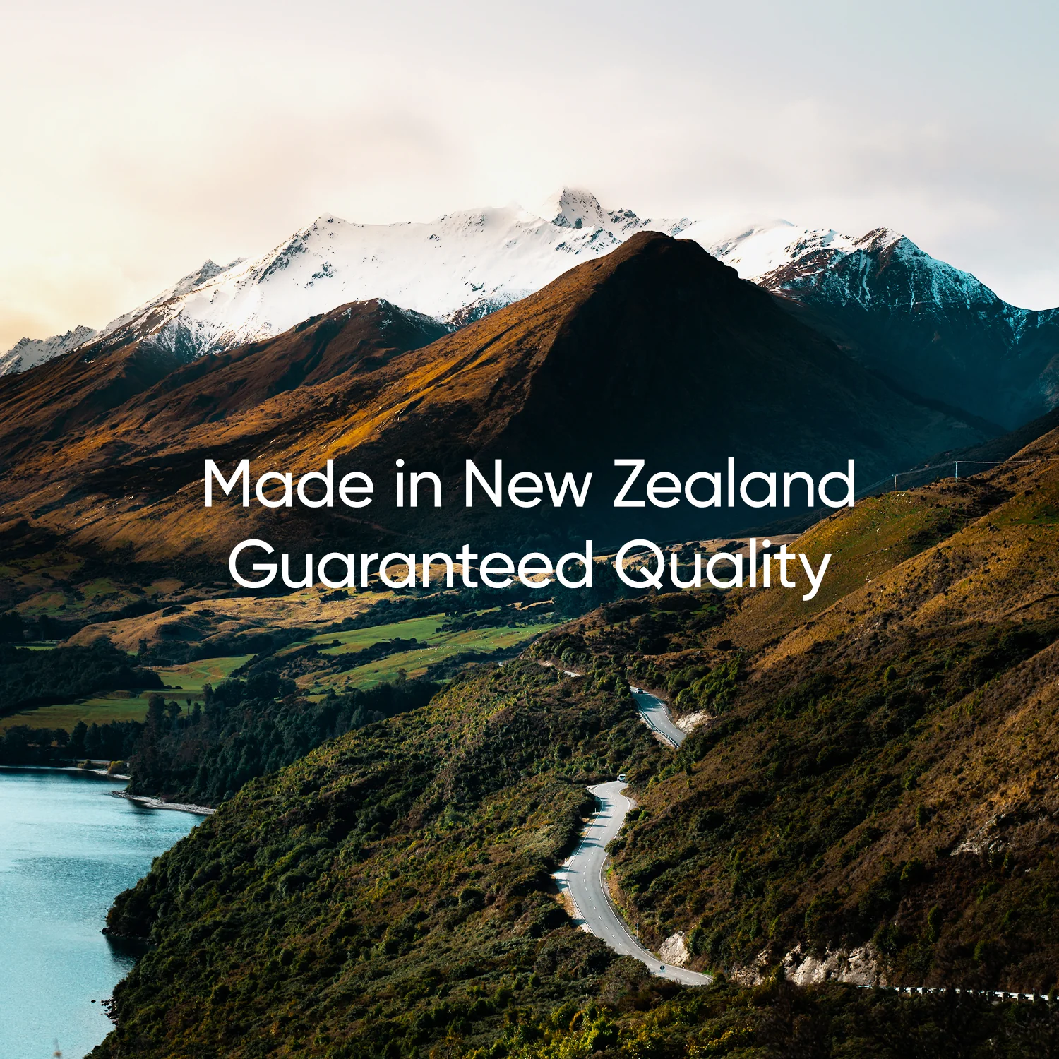 Fibre Biotics - Image 6