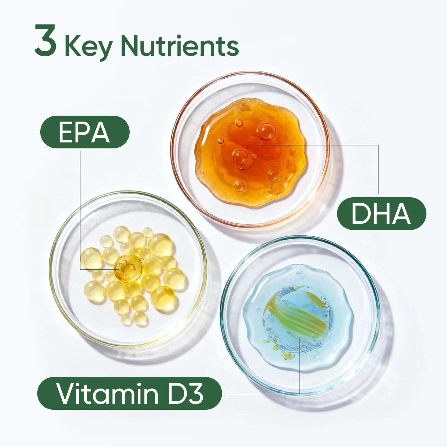 Vegan Omega-3 - Image 4